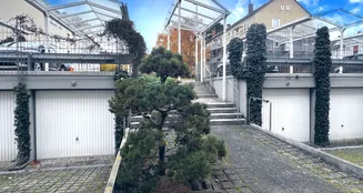 von_poll_real_estate_property_25351067_image_25