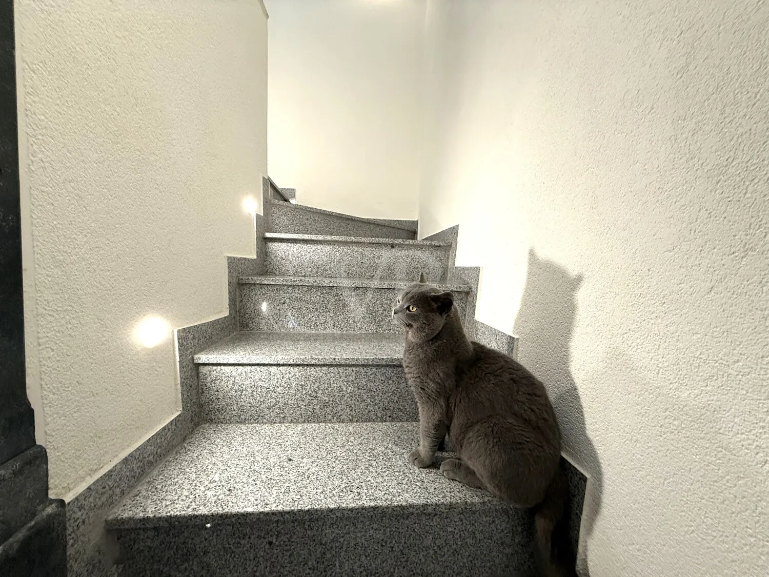 EG Treppe