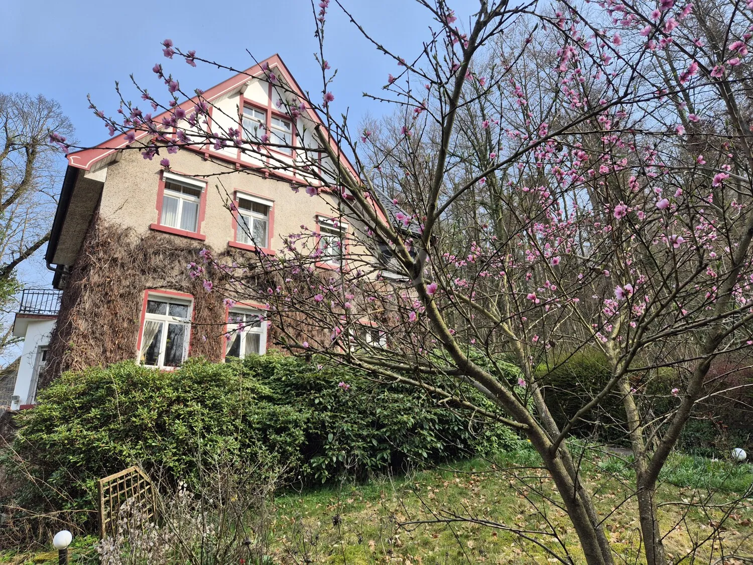 Außenansicht