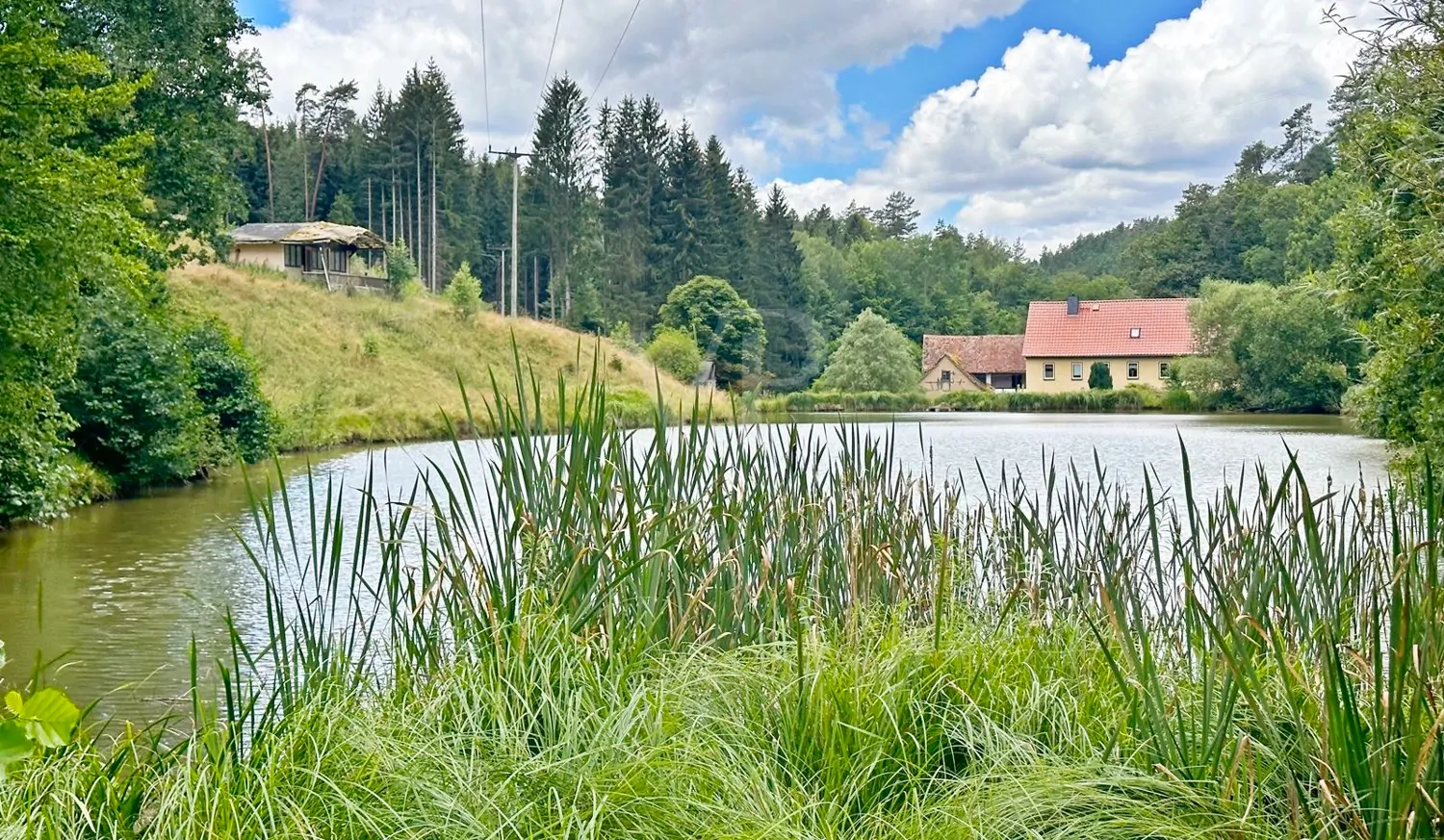 Blick üb den Hausteich