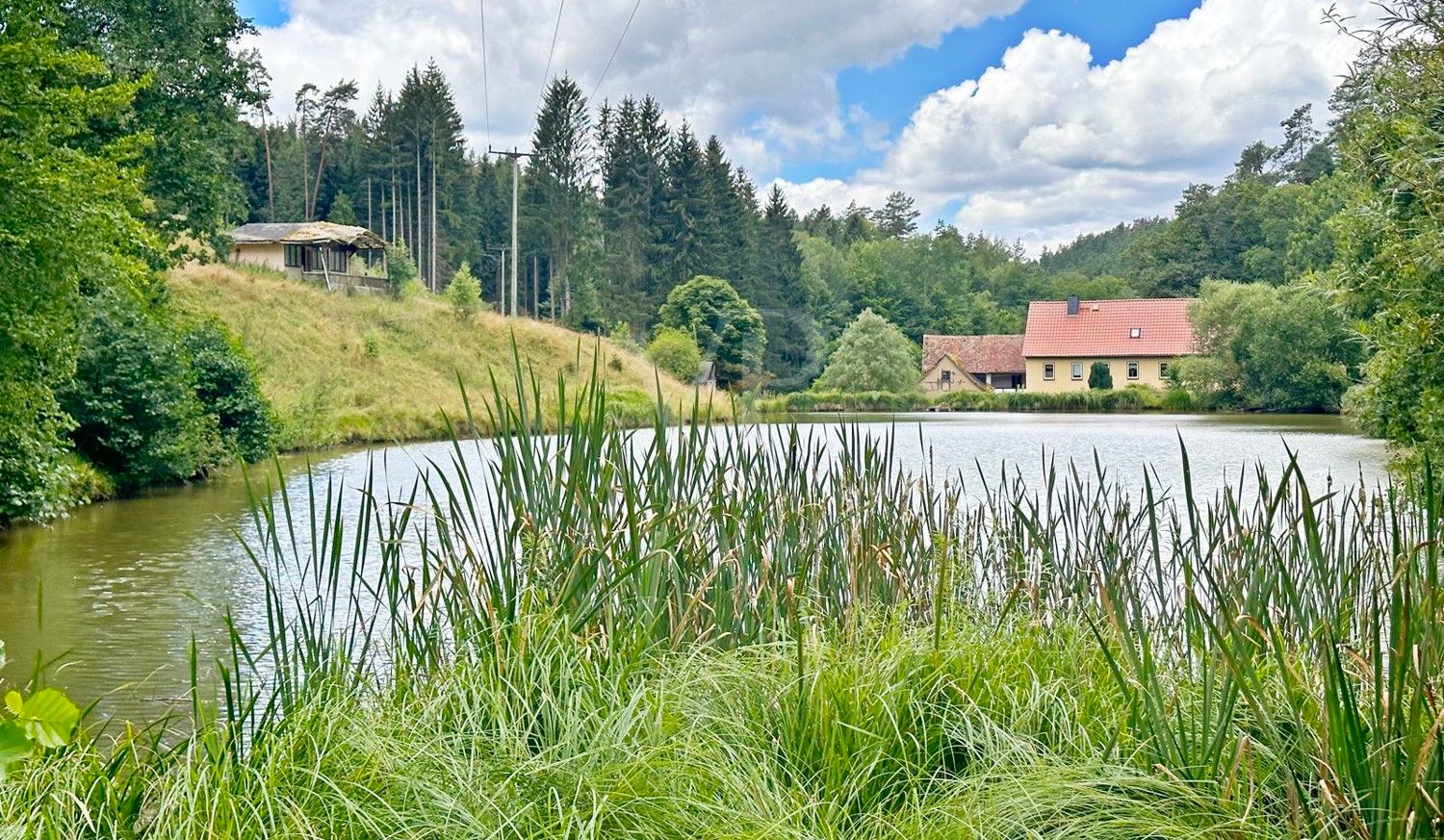 Blick üb den Hausteich