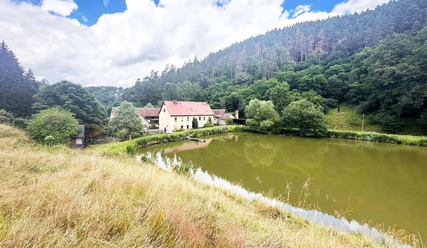 Blik über den Teich