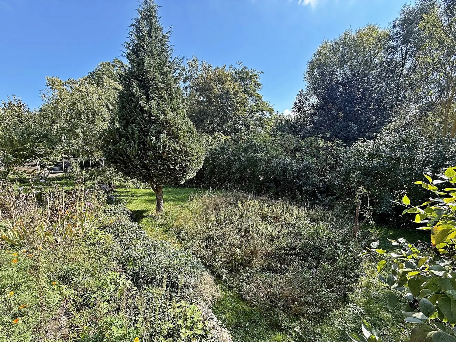 hinterer Gartenbereich