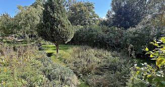 von_poll_real_estate_property_25254212_image_32