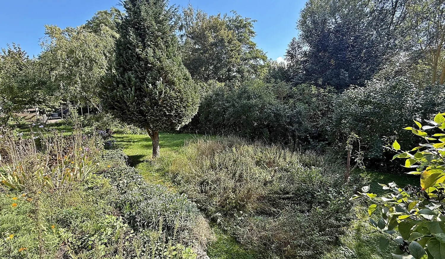 hinterer Gartenbereich