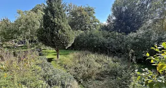 von_poll_real_estate_property_25254212_image_32