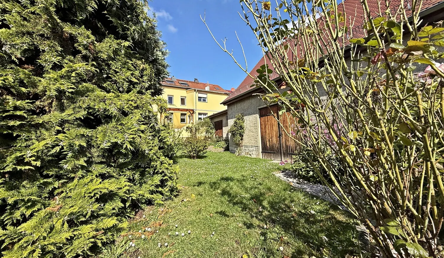 Blick aus hinteren Gartenbereich