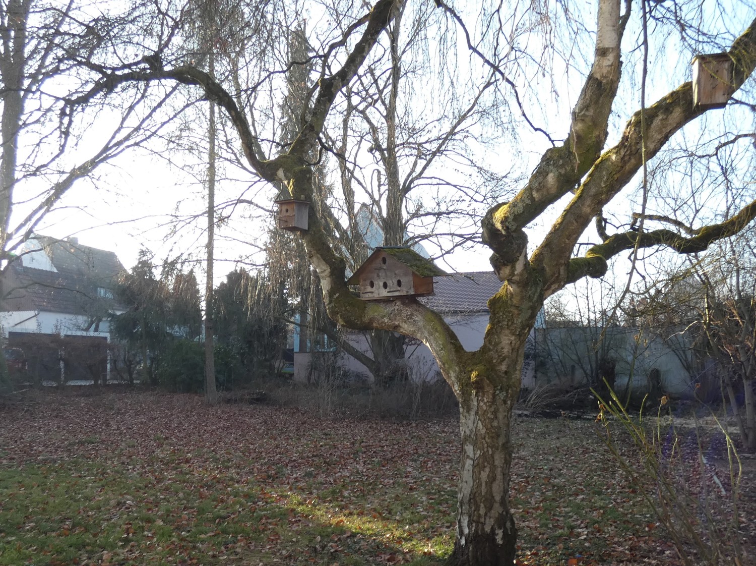 Eindrucksvolles EFH mit Ausbaureserve im DG sowie zusätzlichem Bauplatz