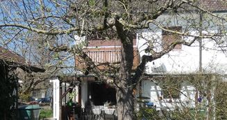 von_poll_real_estate_property_25348010_image_1