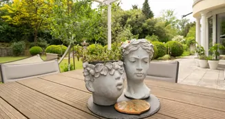 von_poll_real_estate_property_25348014_image_0