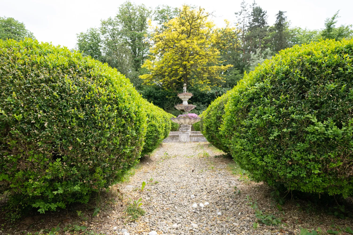 Privatsphäre und Lebensqualität in repräsentativer zentrumsnaher Dillinger Wohnlage