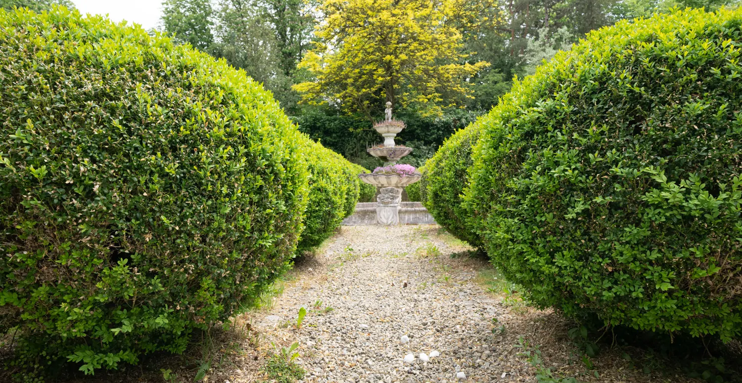 Privatsphäre und Lebensqualität in repräsentativer zentrumsnaher Dillinger Wohnlage