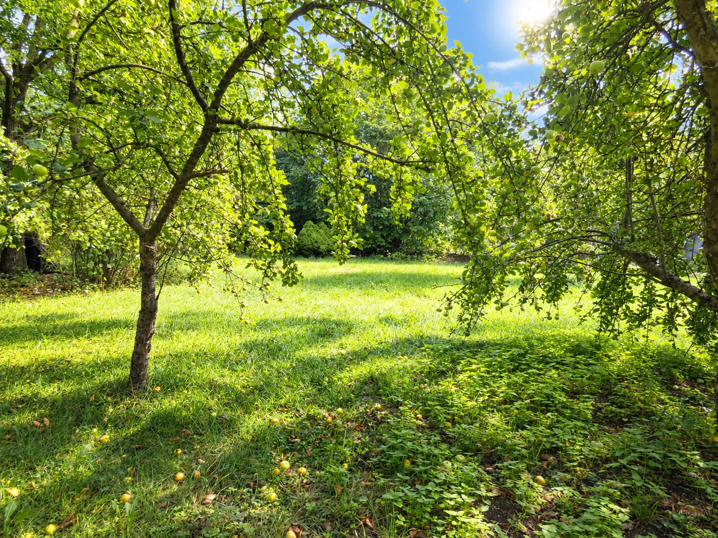 weitläufiger Garten