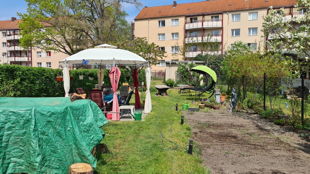 Blick in den Garten