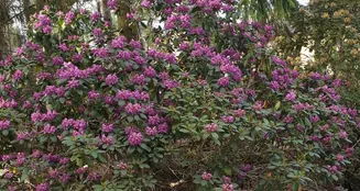 von_poll_real_estate_property_23165022_image_4