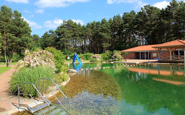 Waldbad in Borkheide