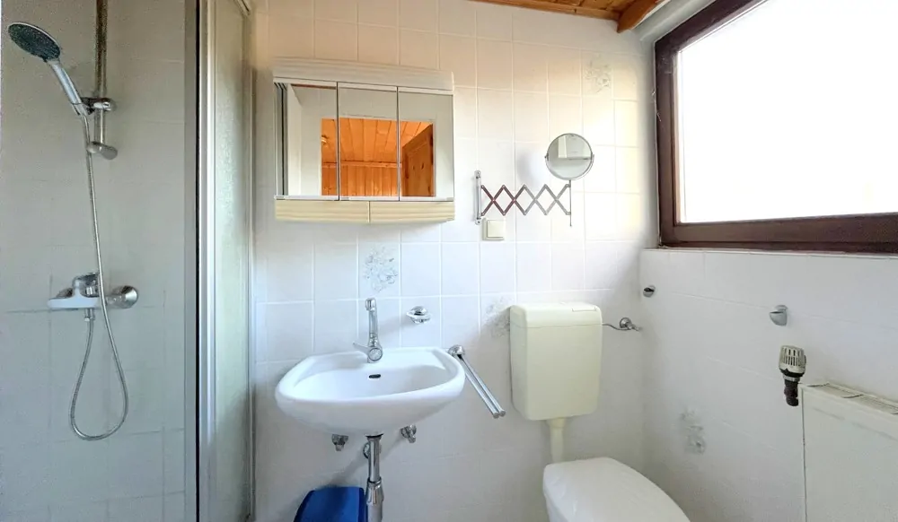 WC mit Dusche im Dachgeschoss