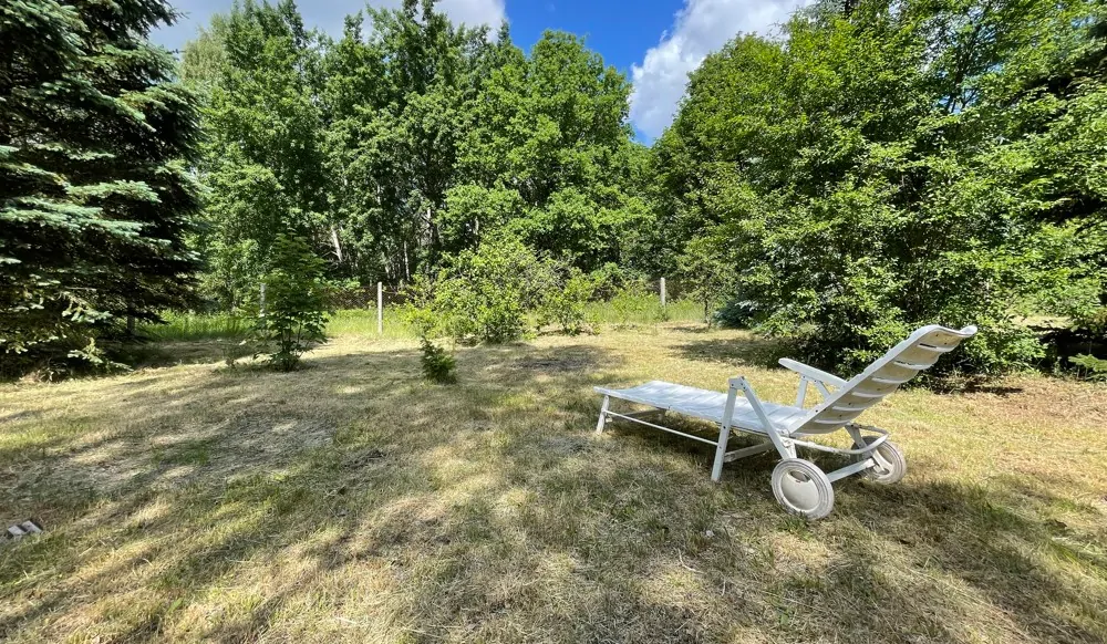 Freifläche im Garten