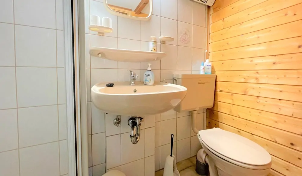 WC mit Dusche in der Ferienwohnung