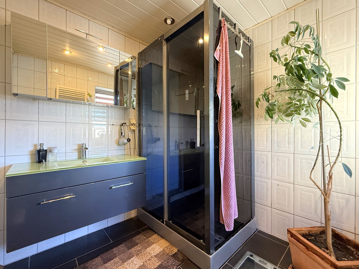 Badezimmer mit Dusche (WE03)