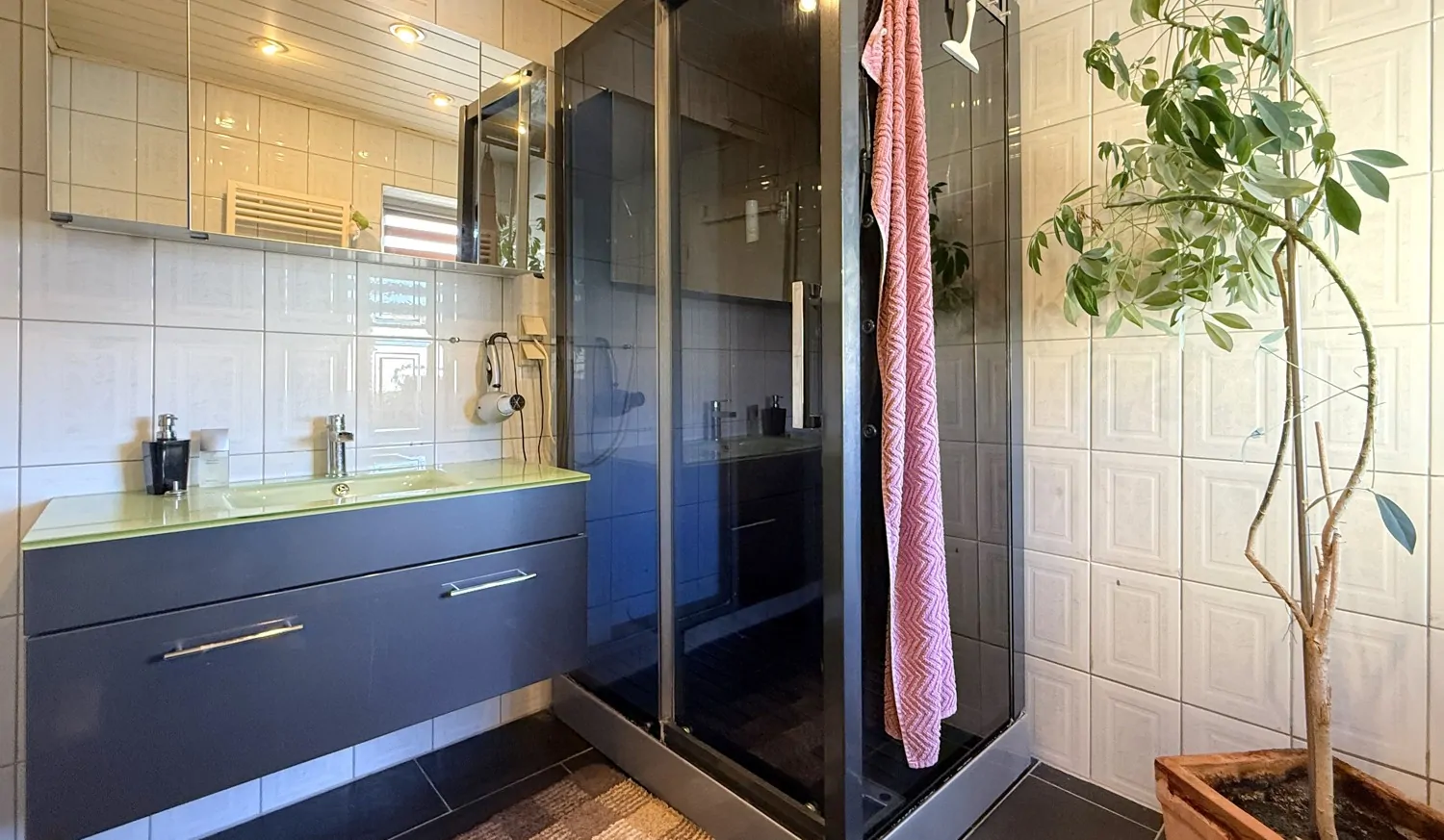 Badezimmer mit Dusche (WE03)