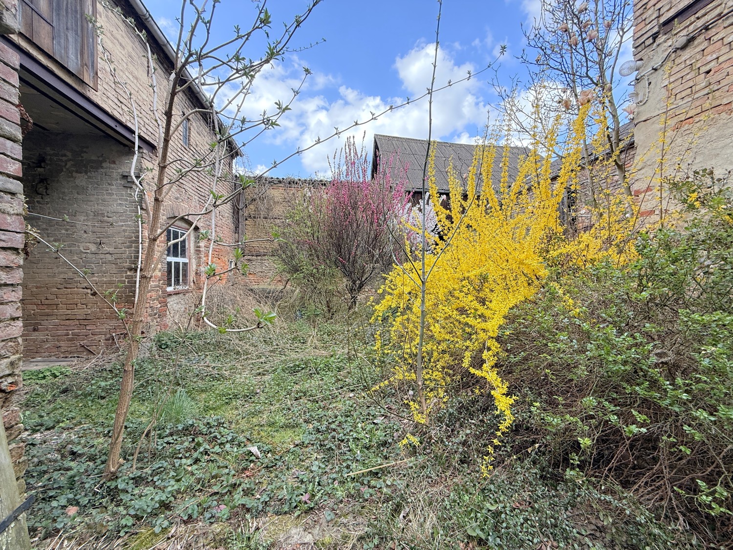 Innenhof mit PKW-Zufahrt