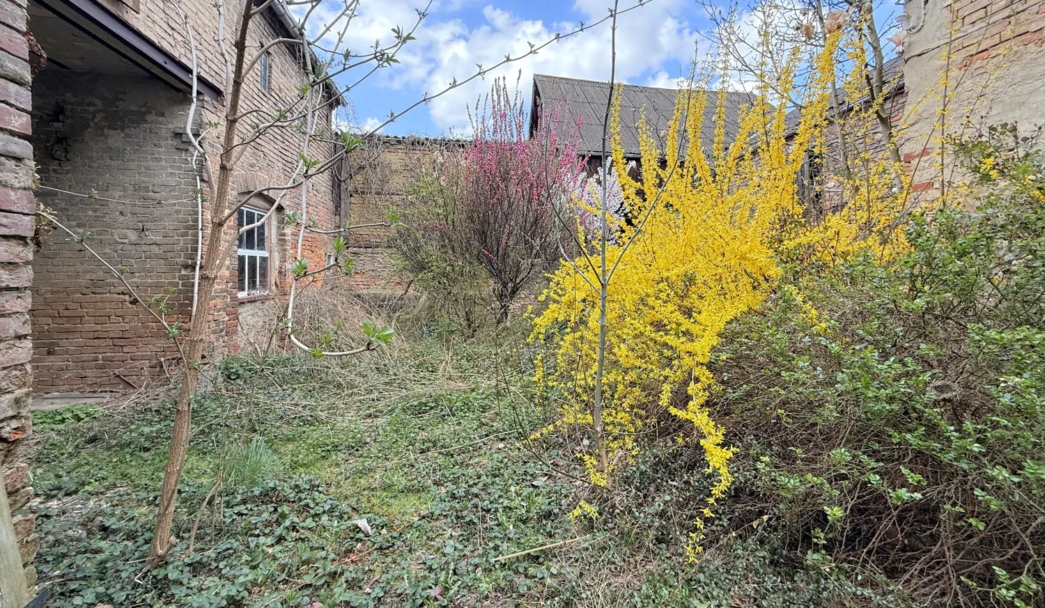 Innenhof mit PKW-Zufahrt