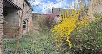 von_poll_real_estate_property_25165029_image_19