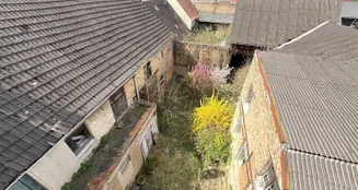 von_poll_real_estate_property_25165029_image_16