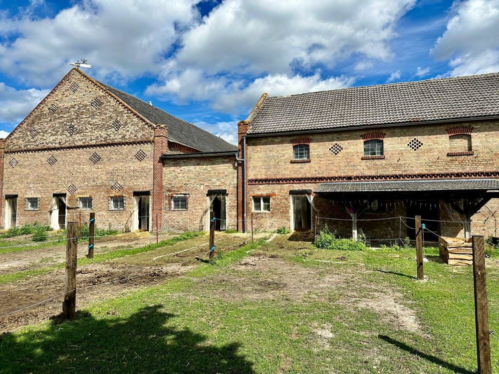 Außenpaddock mit angrenzenden Boxen