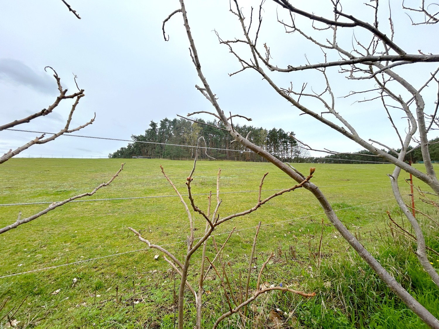 weitläufige Felder hinter der Grundstücksgrenze