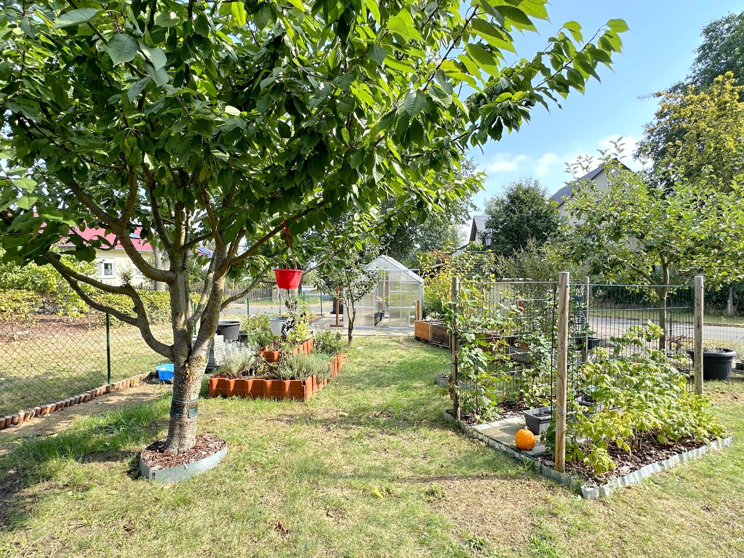 liebevoll gepflegter Garten