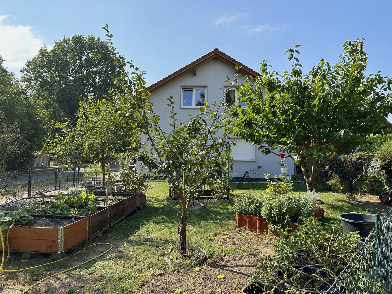 Gartenbereich mit vielen Erntemöglichkeiten