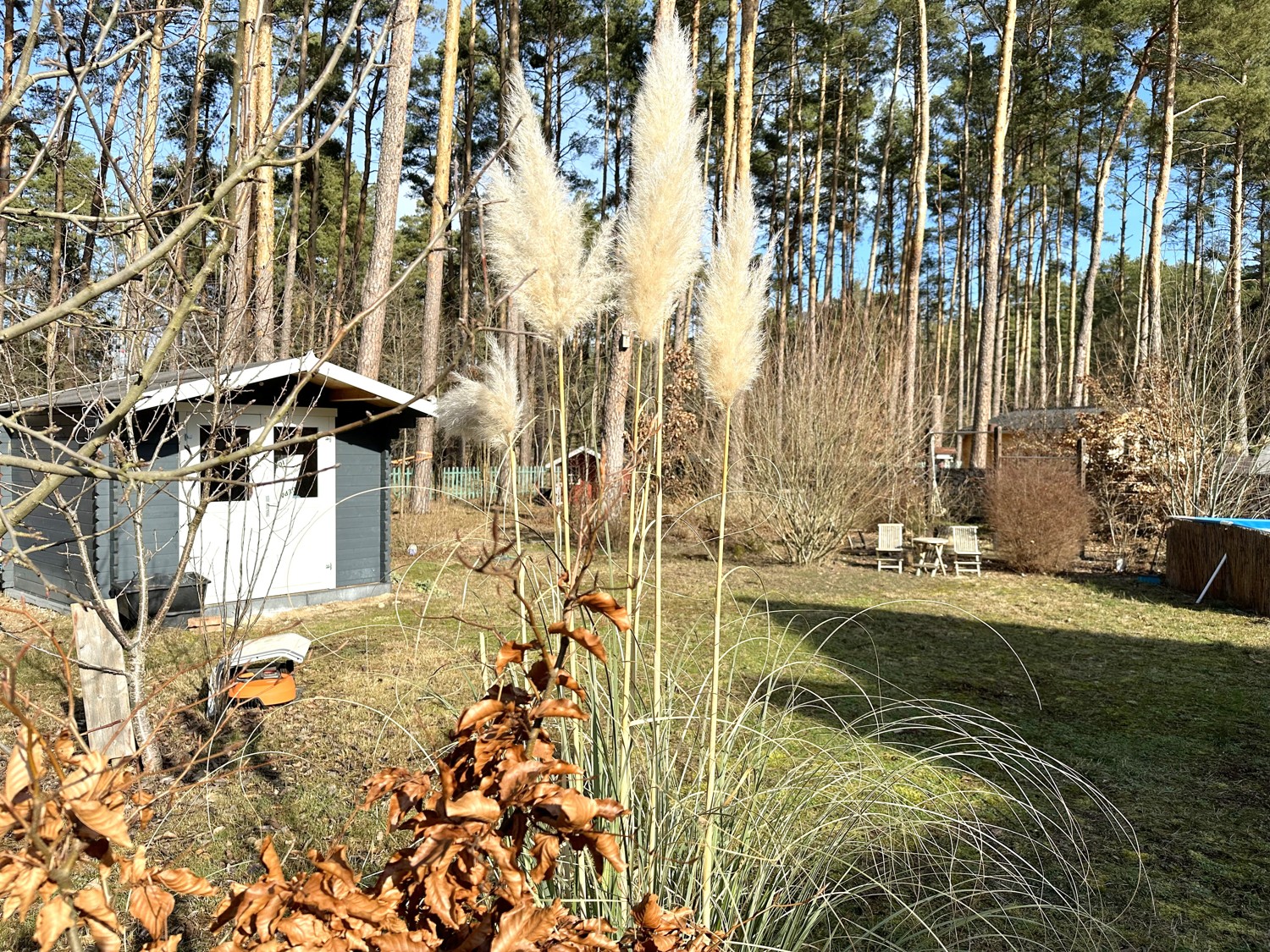 Freifläche im Garten