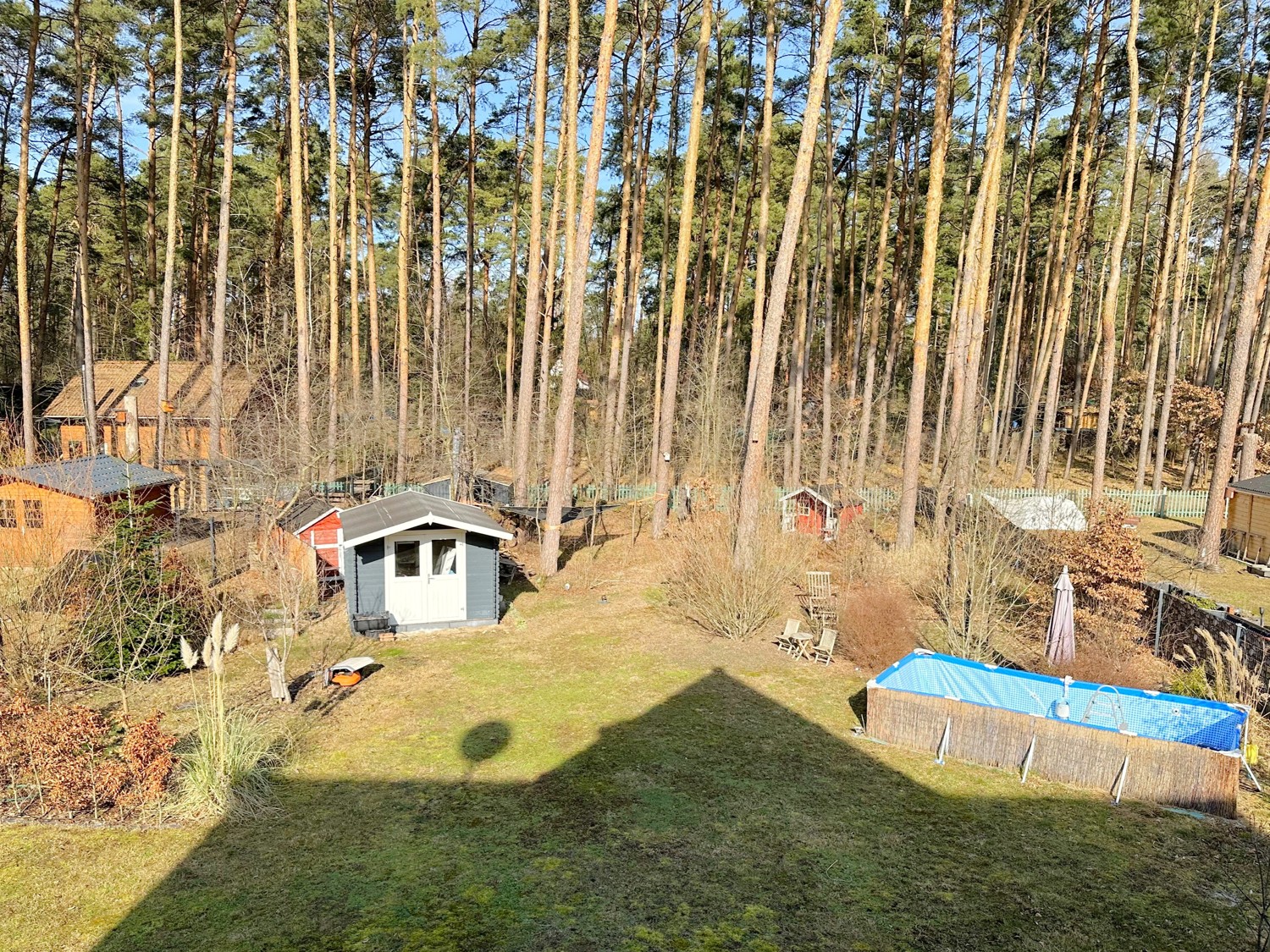 großer Garten mit natürlichem Baumbestand