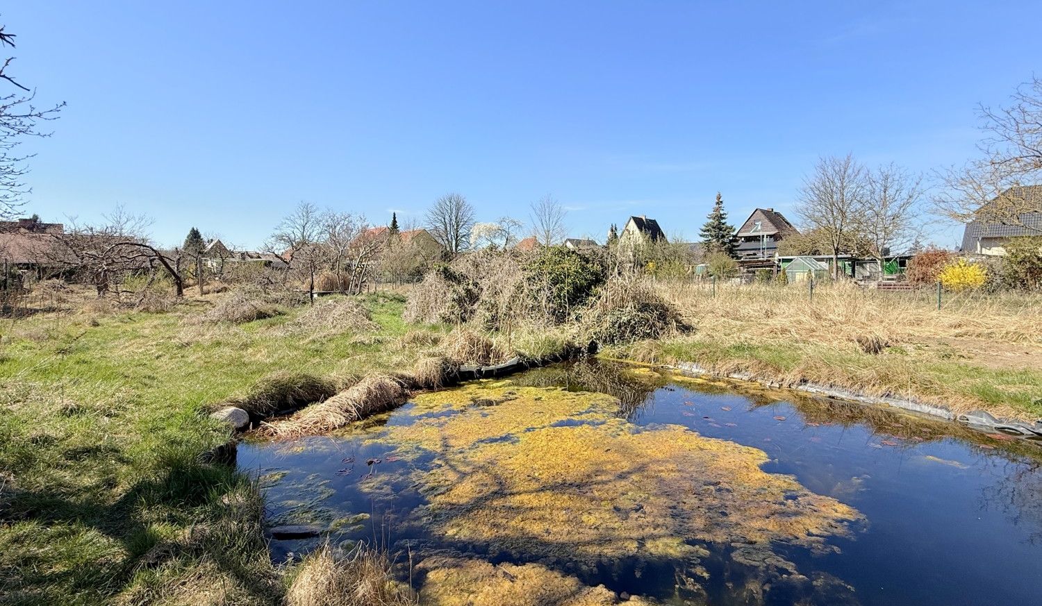 Teich im Garten