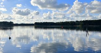 von_poll_real_estate_property_25165020_image_22