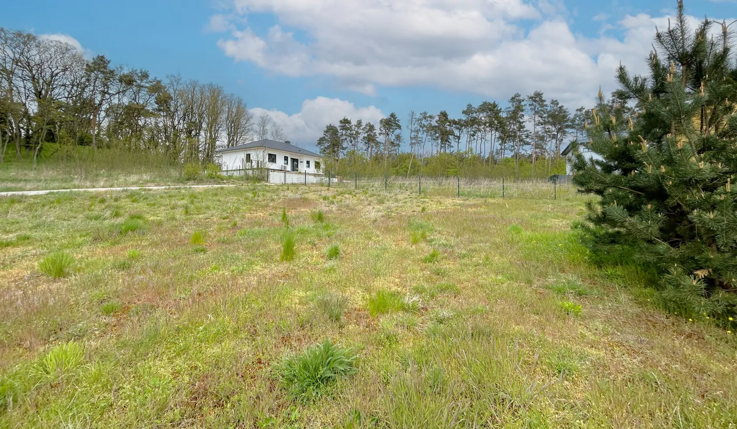Bauträgerfreies Baugrundstück über den Dächern der Stadt Bad Belzig
