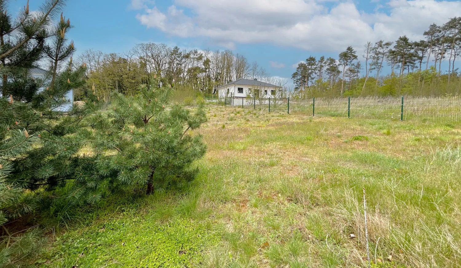 Bauträgerfreies Baugrundstück über den Dächern der Stadt Bad Belzig
