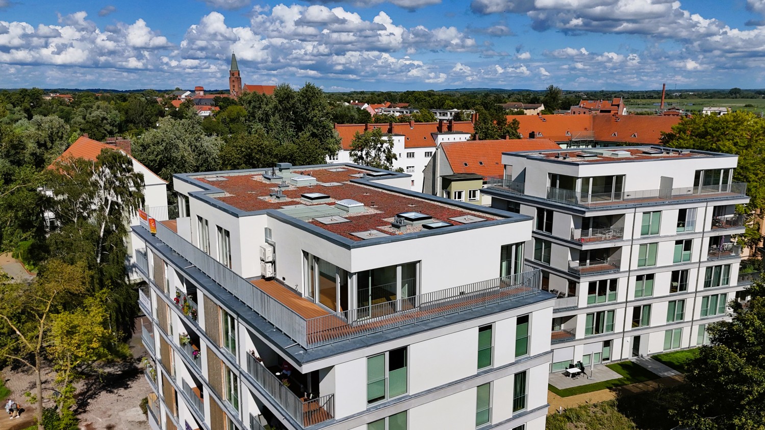 Blick zum Dom