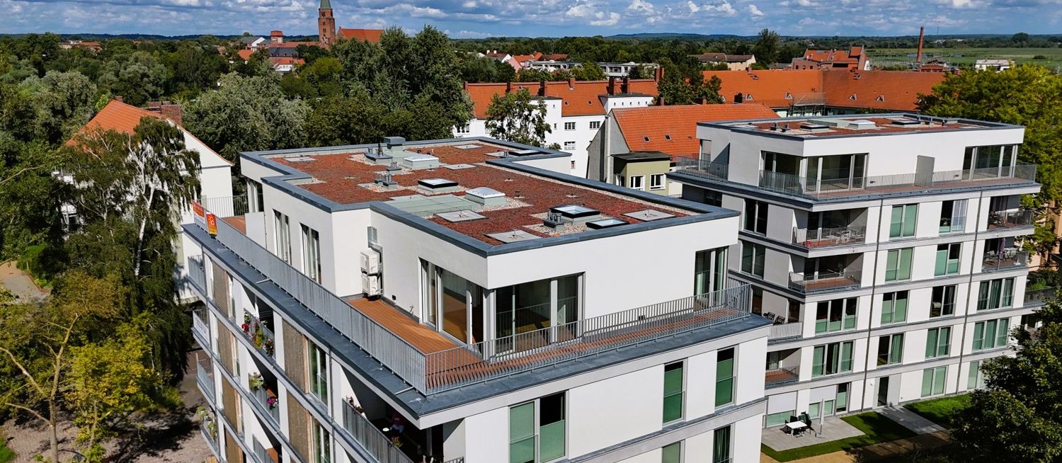 Blick zum Dom