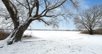 von_poll_real_estate_property_25165038_image_11