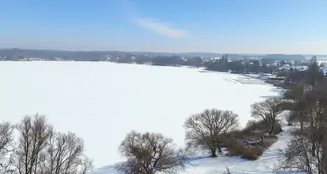 von_poll_real_estate_property_25165038_image_9