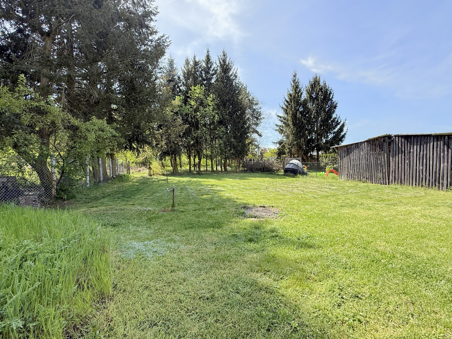 große Freifläche im Garten