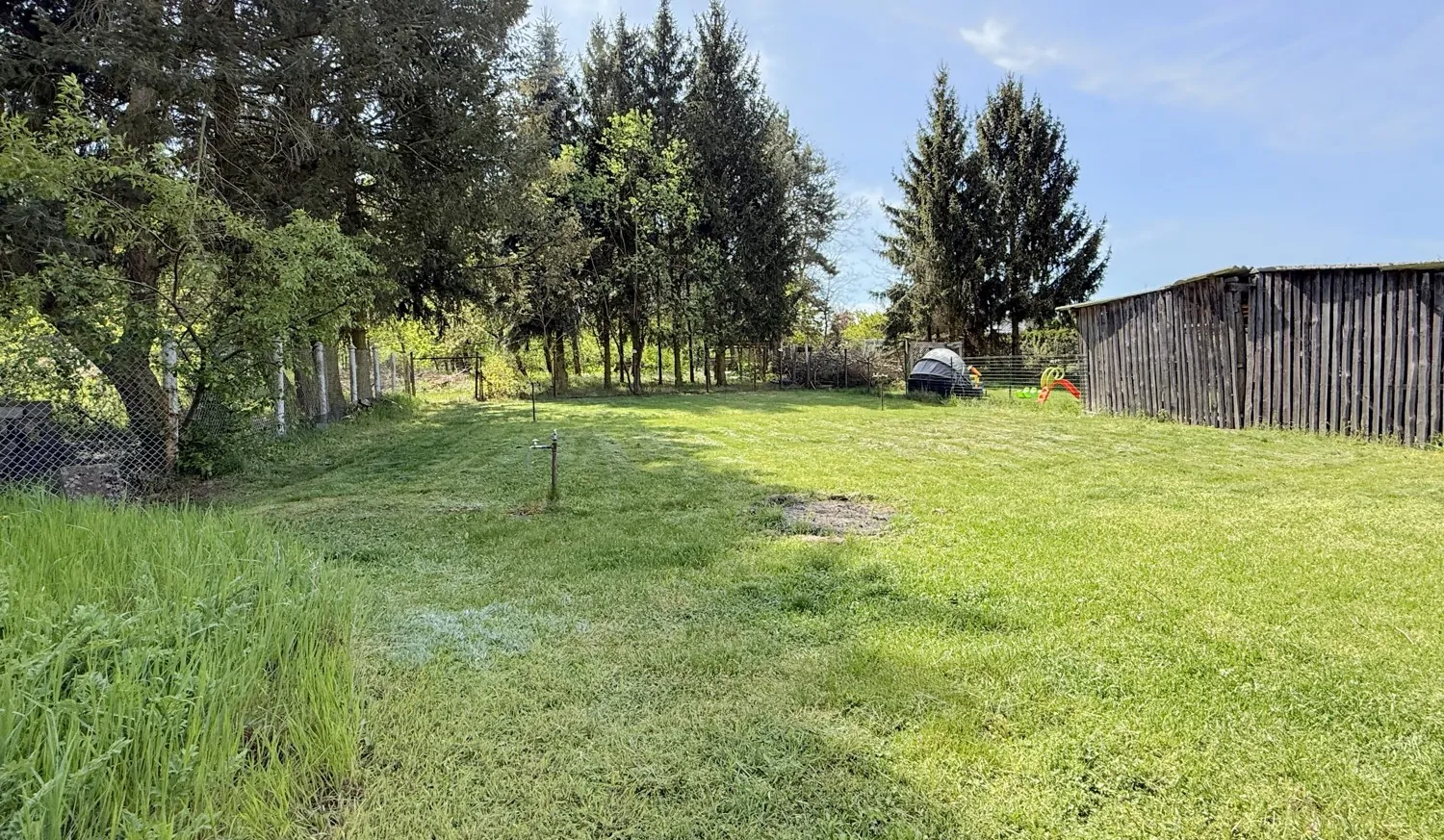 große Freifläche im Garten