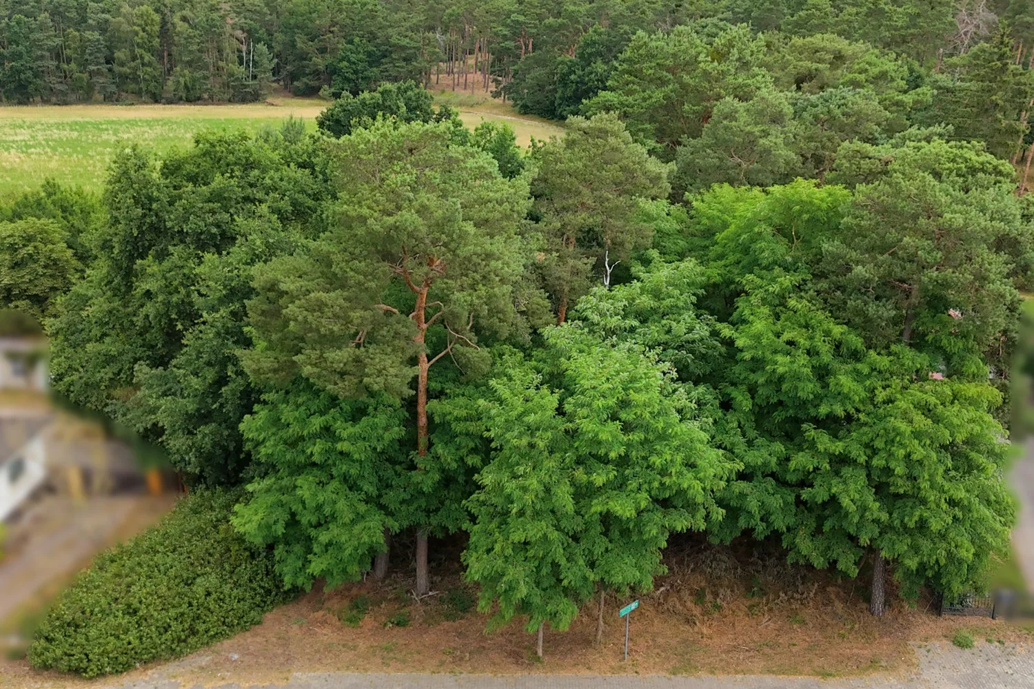 Bauträgerfreies Baugrundstück in Damsdorf – Ruhige Lage mit Blick ins Grüne