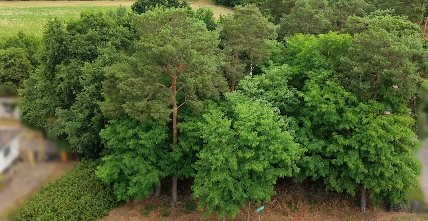 Bauträgerfreies Baugrundstück in Damsdorf – Ruhige Lage mit Blick ins Grüne