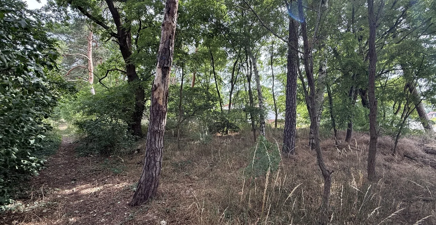 Bauträgerfreies Baugrundstück in Damsdorf – Ruhige Lage mit Blick ins Grüne