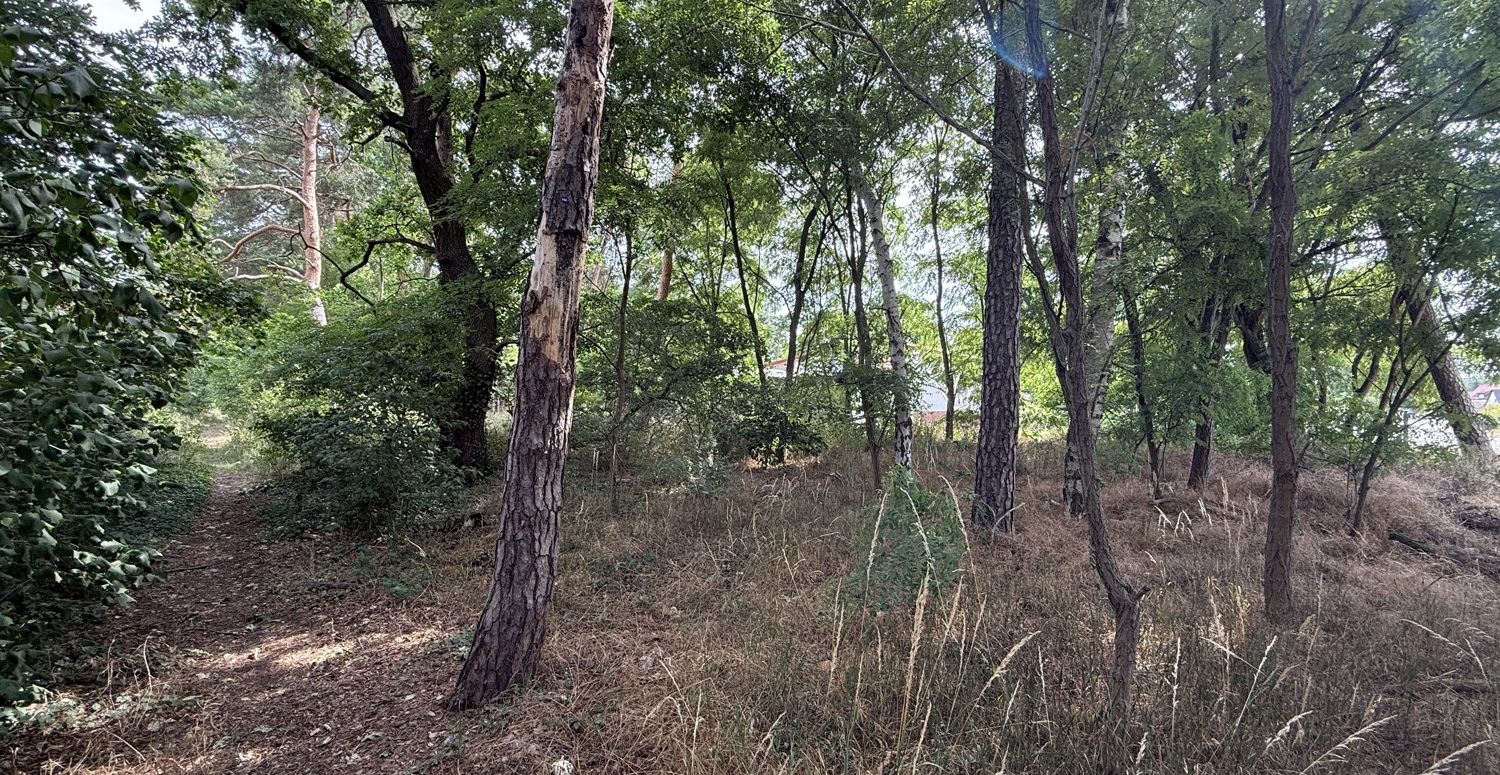 Bauträgerfreies Baugrundstück in Damsdorf – Ruhige Lage mit Blick ins Grüne