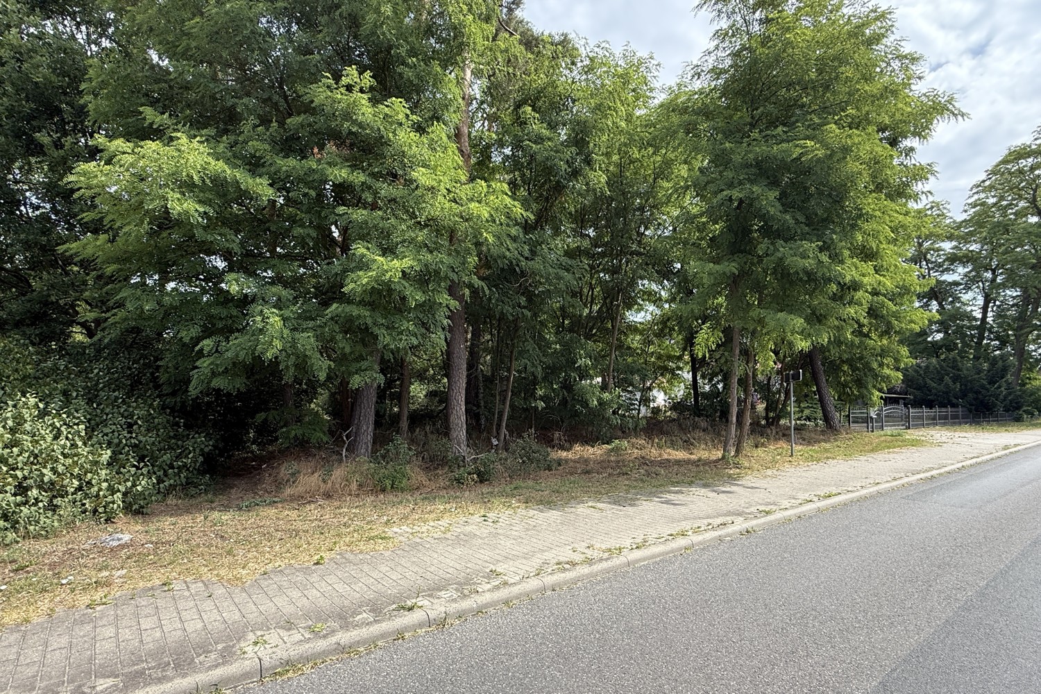 Bauträgerfreies Baugrundstück in Damsdorf – Ruhige Lage mit Blick ins Grüne